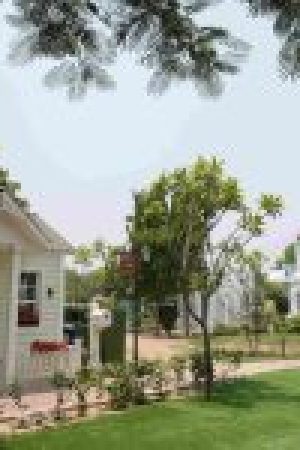 Copy-of-DSC09551-150x150